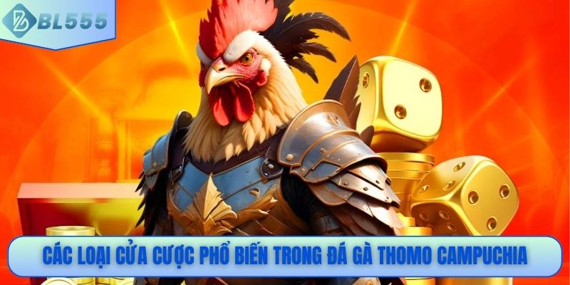 Các loại cửa cược phổ biến trong đá gà Thomo Campuchia