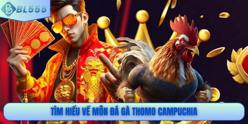 Tìm hiểu về môn đá gà Thomo Campuchia